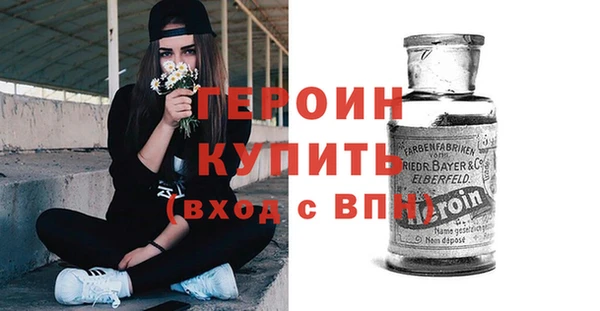 сатива Каменка
