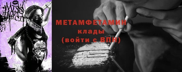сатива Каменка