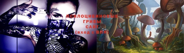 ALPHA-PVP Инсар