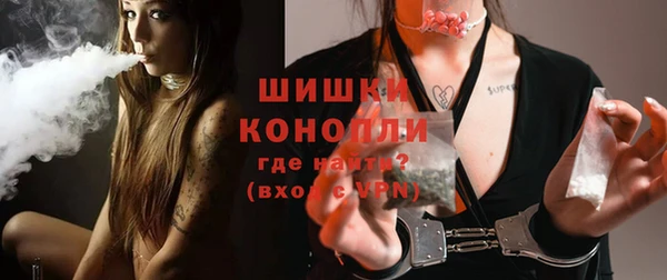 ALPHA-PVP Инсар