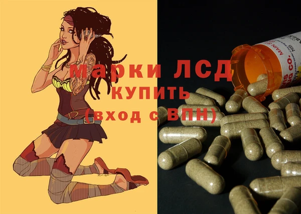 крисы Каменногорск