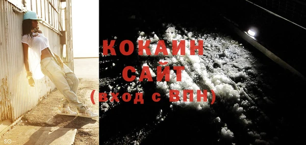 сатива Каменка