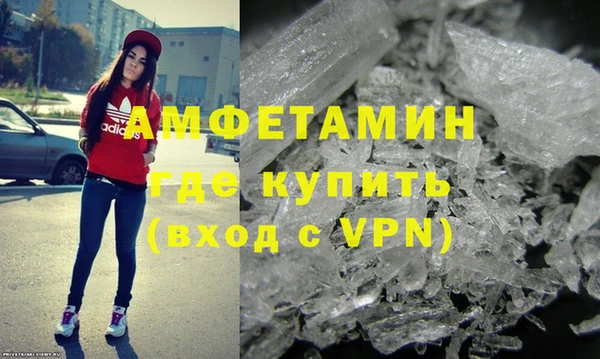 сатива Каменка