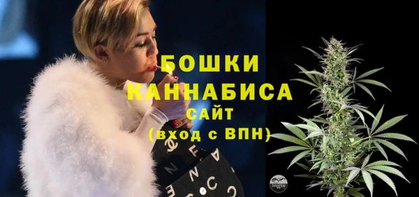 гидропоника Инта